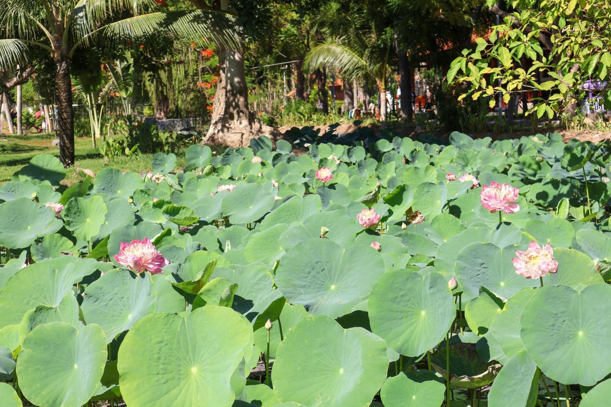 Ttc Resort Ninh Thuan - Unlimited Access To Water Park Phan Rang Luaran gambar